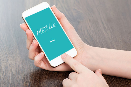 town-of-mesilla-phone